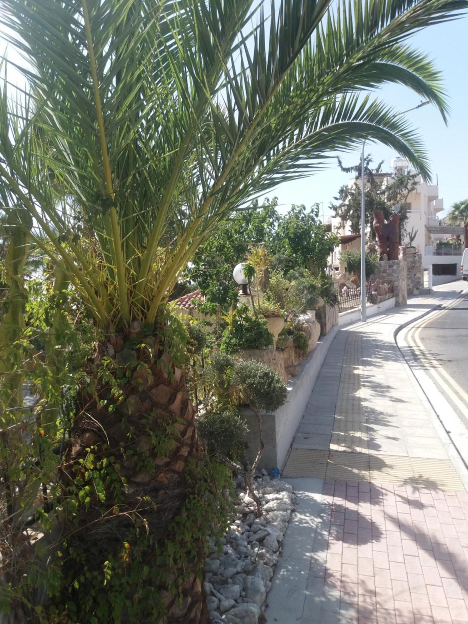 Greenfields Country Club Limassol Exteriör bild